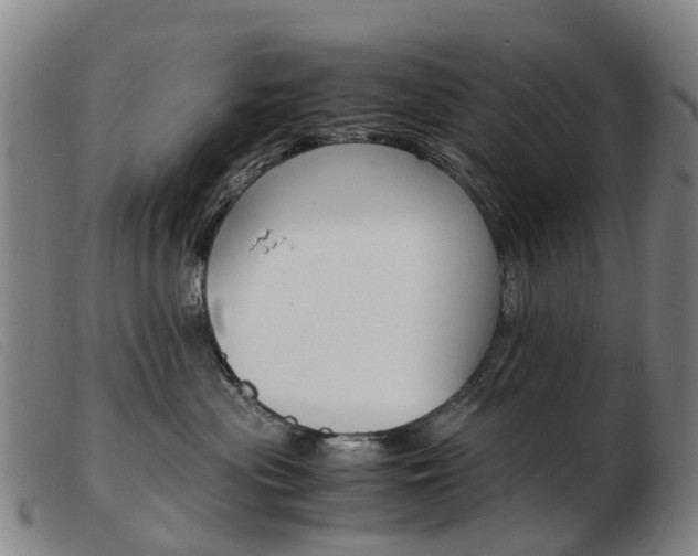 X0000103940477200809191152