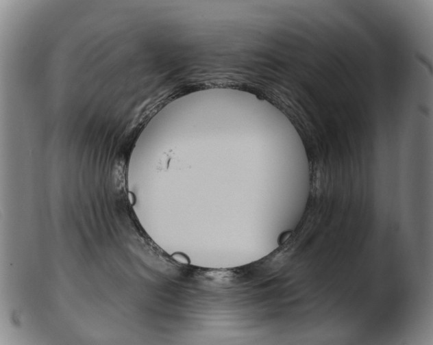 X0000103940478200809191152