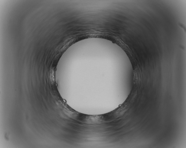 X0000103940479200809191152
