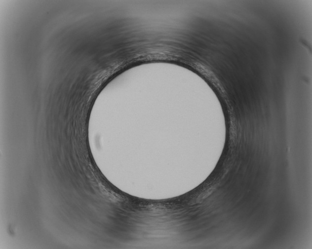 X0000103940481200809191151
