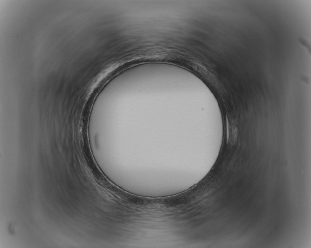 X0000103940483200809191151