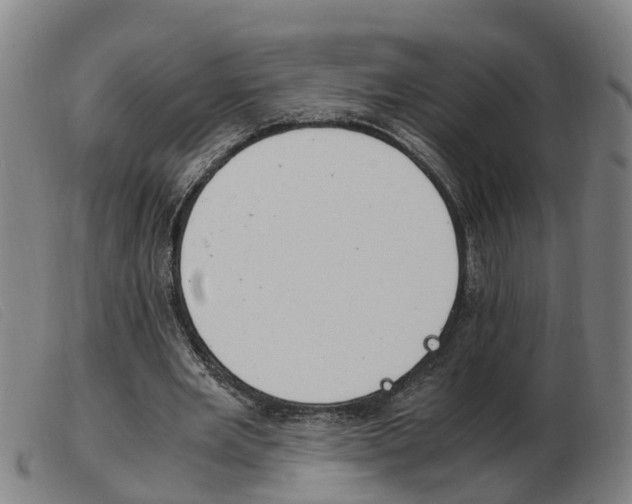 X0000103940485200809191151