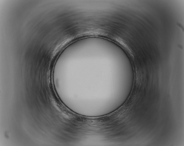 X0000103940486200809191151