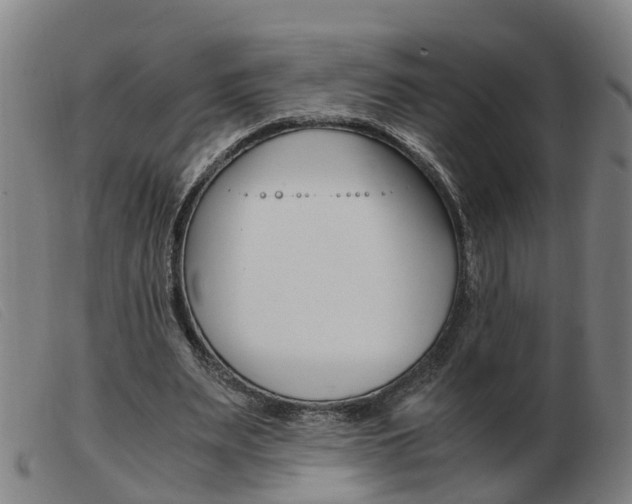 X0000103940487200809191151