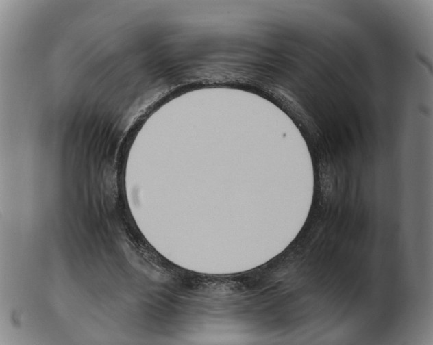 X0000103940488200809191151