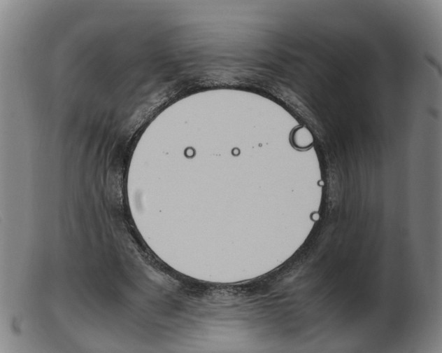 X0000103940489200809191151