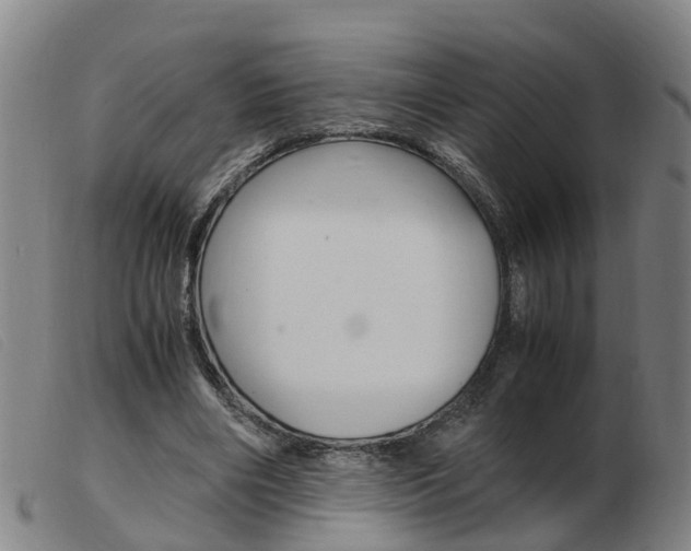 X0000103940490200809191151