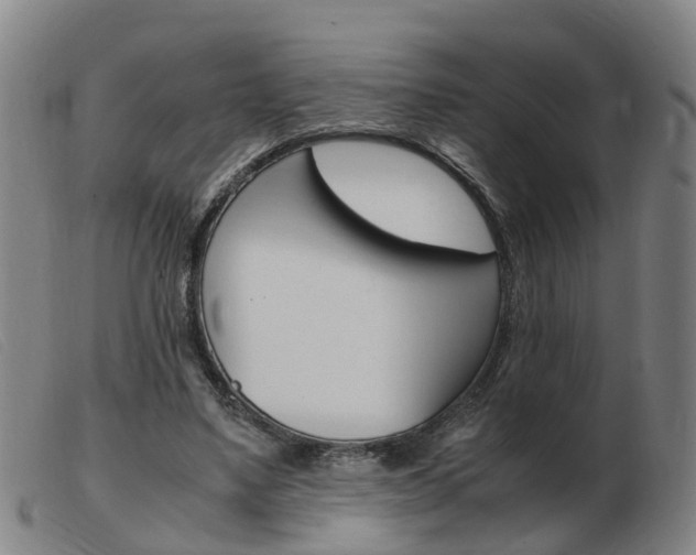 X0000103940491200809191151