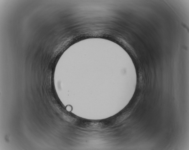 X0000103940493200809191151