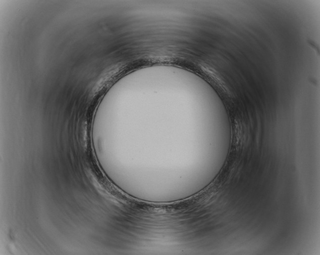 X0000103940494200809191151