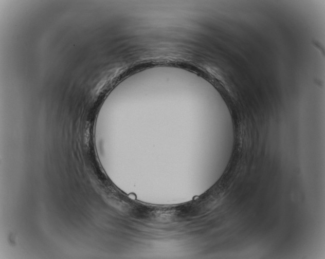 X0000103940495200809191151
