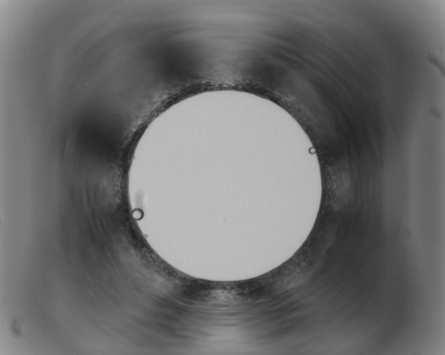X0000103940496200809191151