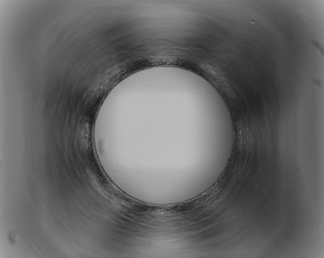X0000103940498200809191151