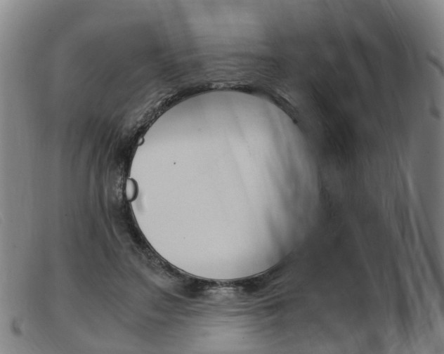 X0000103940499200809191151
