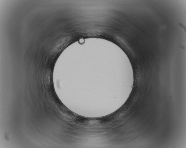 X0000103940501200809191151