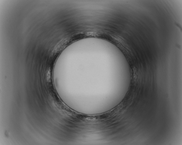 X0000103940502200809191151