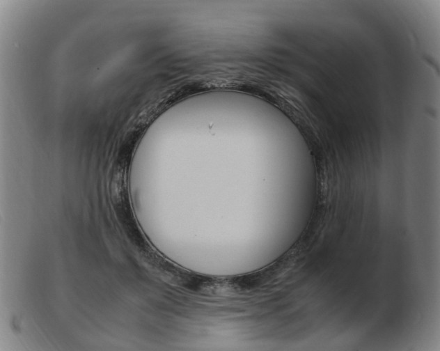 X0000103940503200809191151