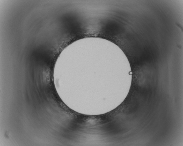 X0000103940504200809191151