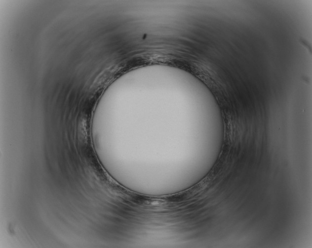 X0000103940506200809191151