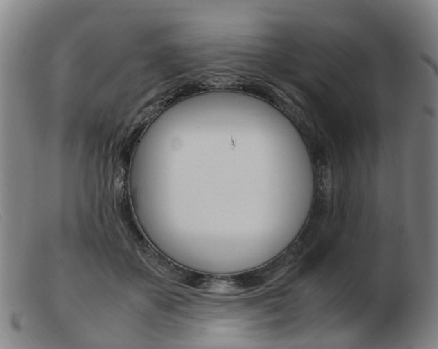 X0000103940507200809191151