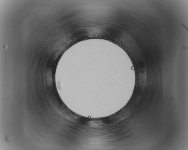 X0000103940508200809191151