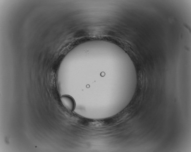X0000103940511200809191151