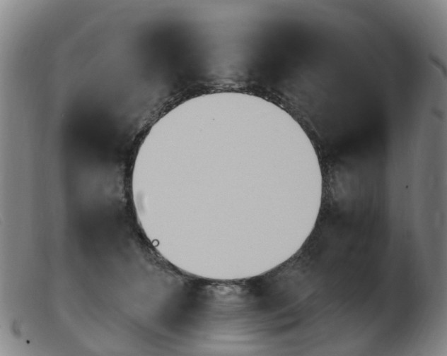 X0000103940512200809191151