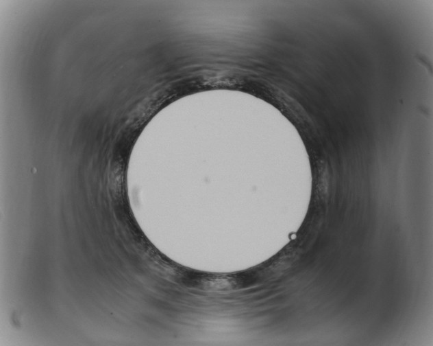 X0000103940513200809191151