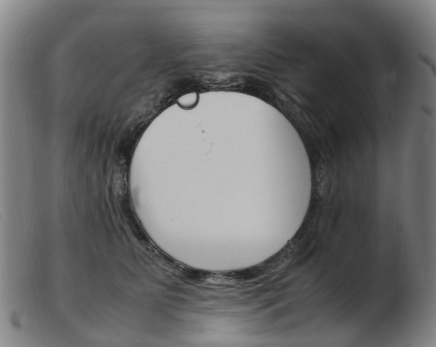 X0000103940515200809191151