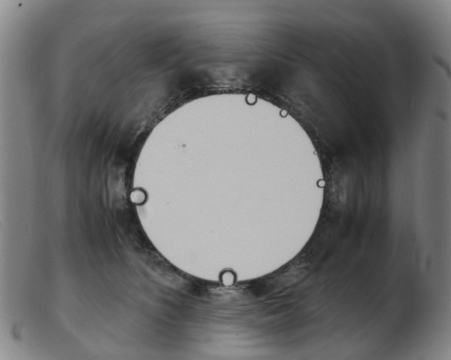 X0000103940516200809191150