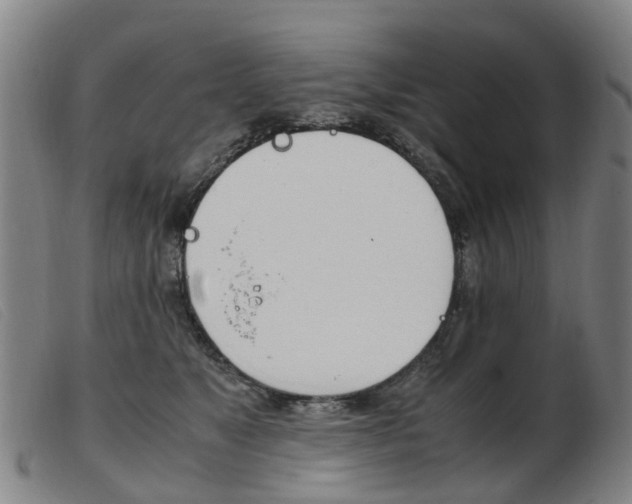 X0000103940517200809191150