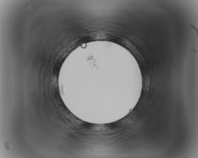 X0000103940521200809191150