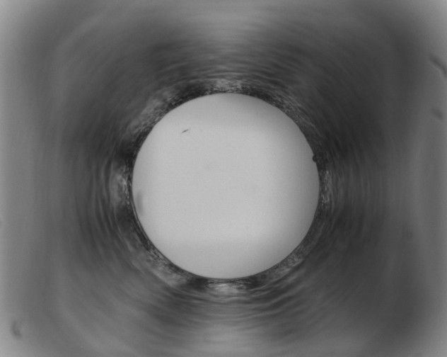 X0000103940522200809191150