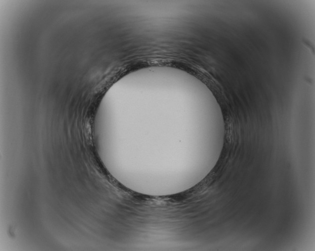 X0000103940523200809191150