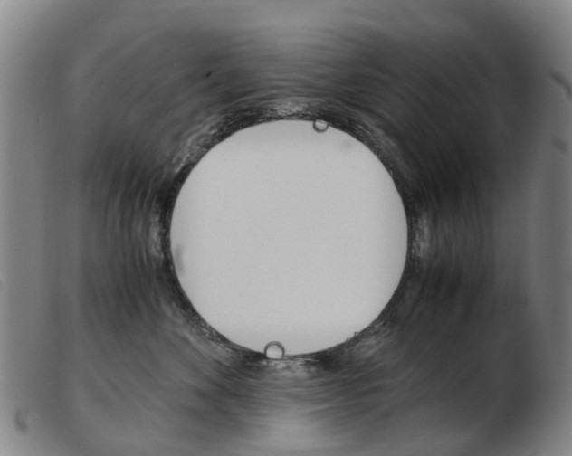 X0000103940524200809191150