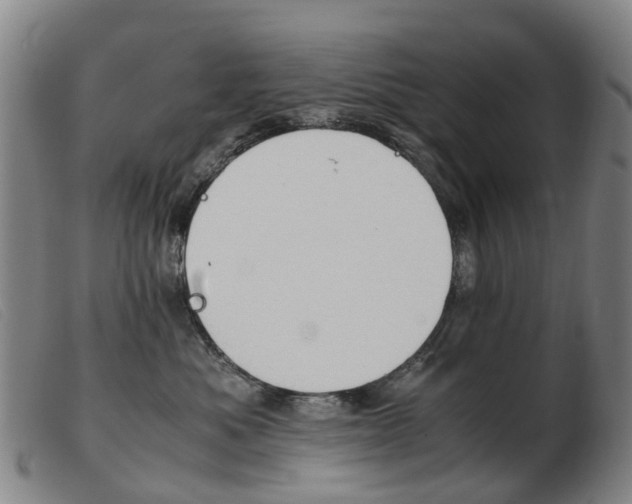 X0000103940525200809191150