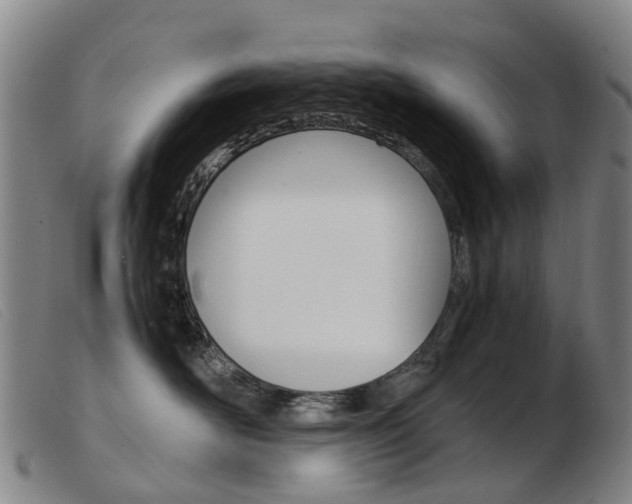 X0000103940526200809191150