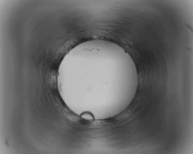 X0000103940527200809191150