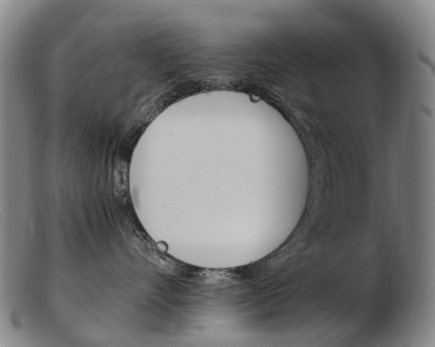 X0000103940528200809191150