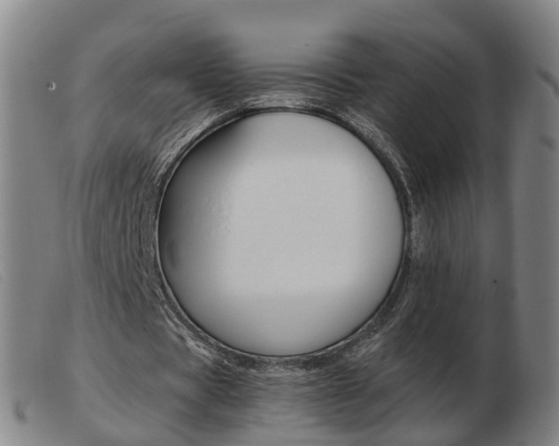 X0000103940529200809191150