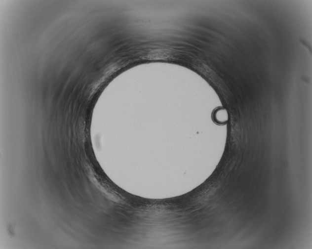 X0000103940530200809191150