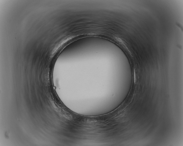 X0000103940531200809191150