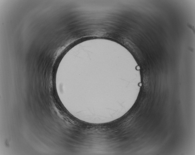 X0000103940532200809191150
