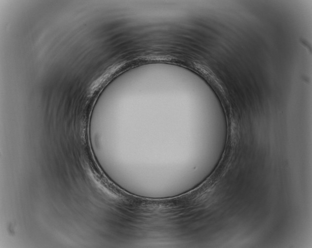 X0000103940533200809191150