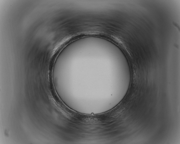 X0000103940535200809191150