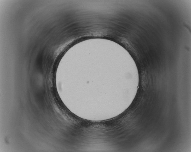 X0000103940536200809191150