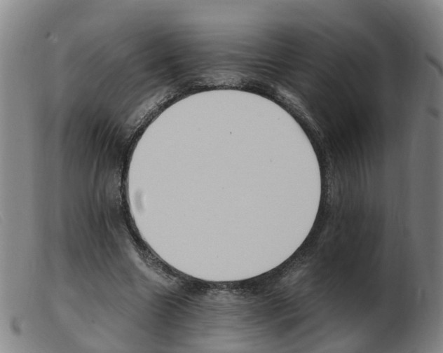 X0000103940538200809191150