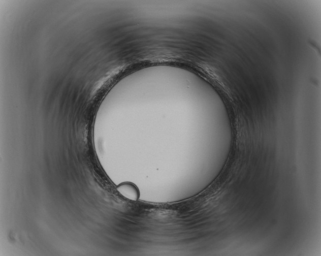 X0000103940539200809191150