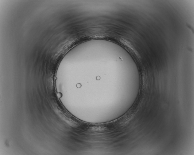 X0000103940541200809191150