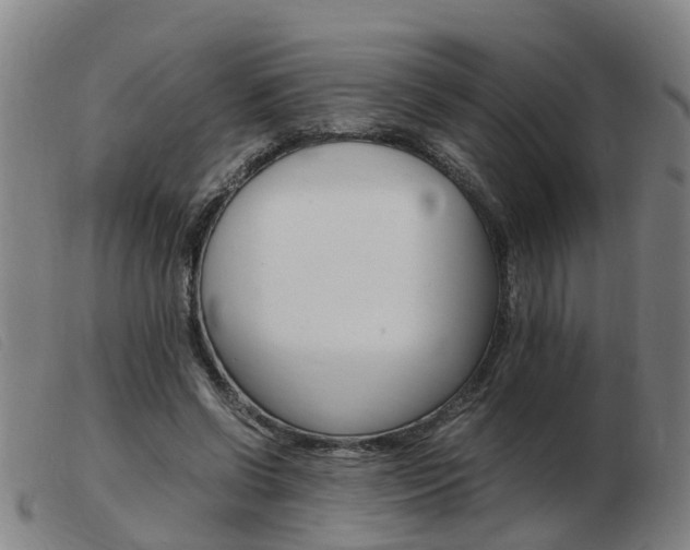 X0000103940542200809191150